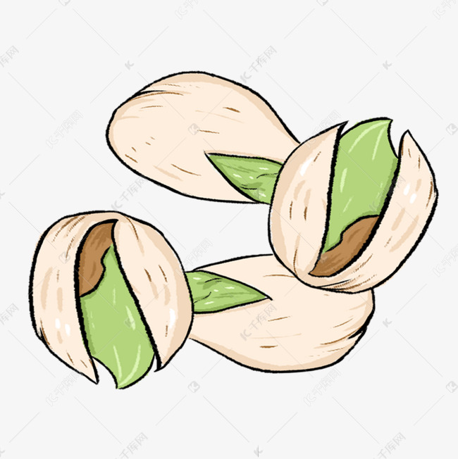 手绘开心果图片