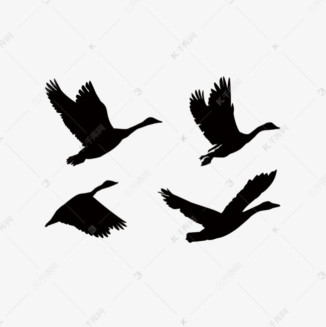 黑色手绘大雁剪影