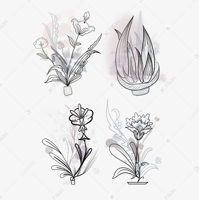 莫兰迪色植物花草