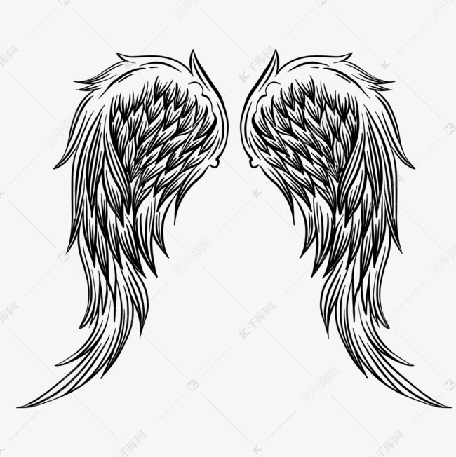线性黑白手绘翅膀