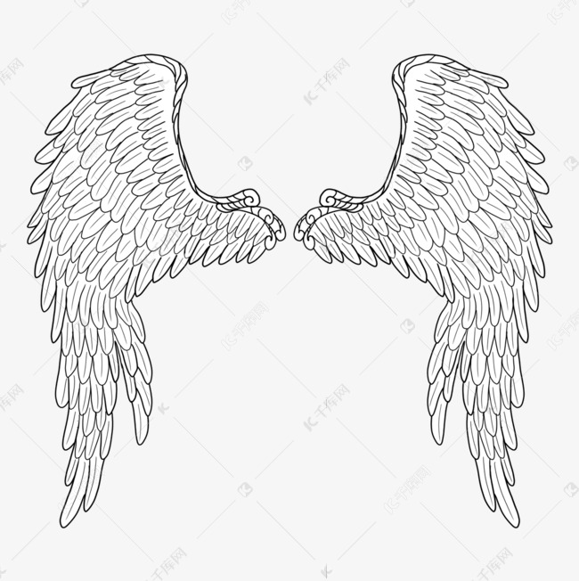 稍微展开的羽翼