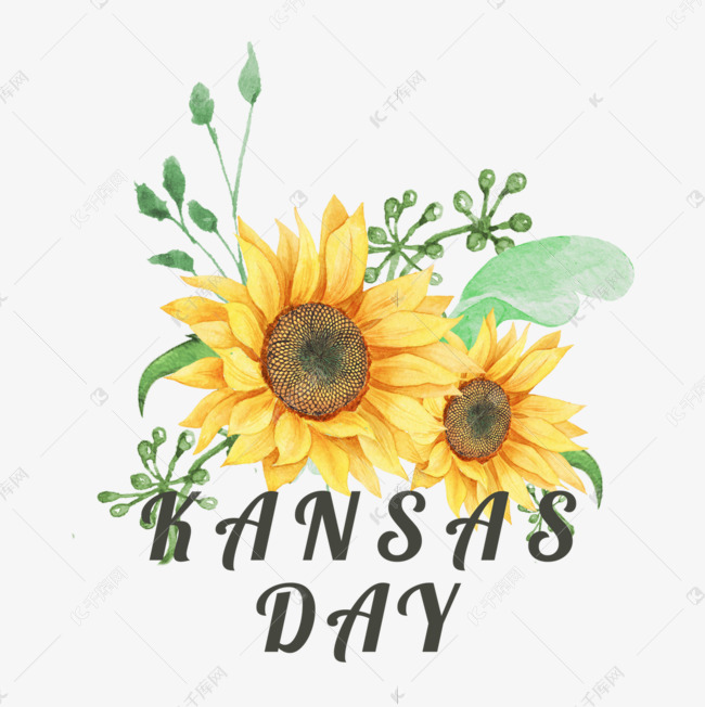 Kansas Day纪念日向日葵素材图片免费下载 高清psd 千库网 图片编号