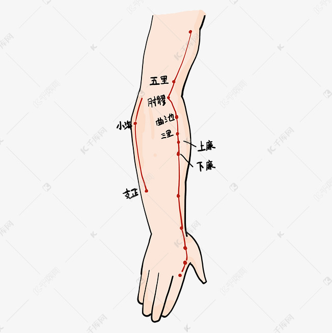 人体穴位手臂
