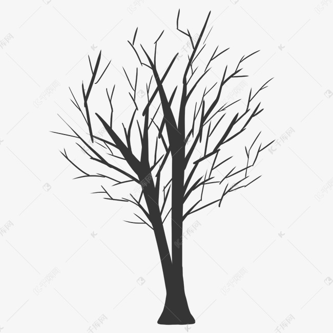 分叉树树木剪影
