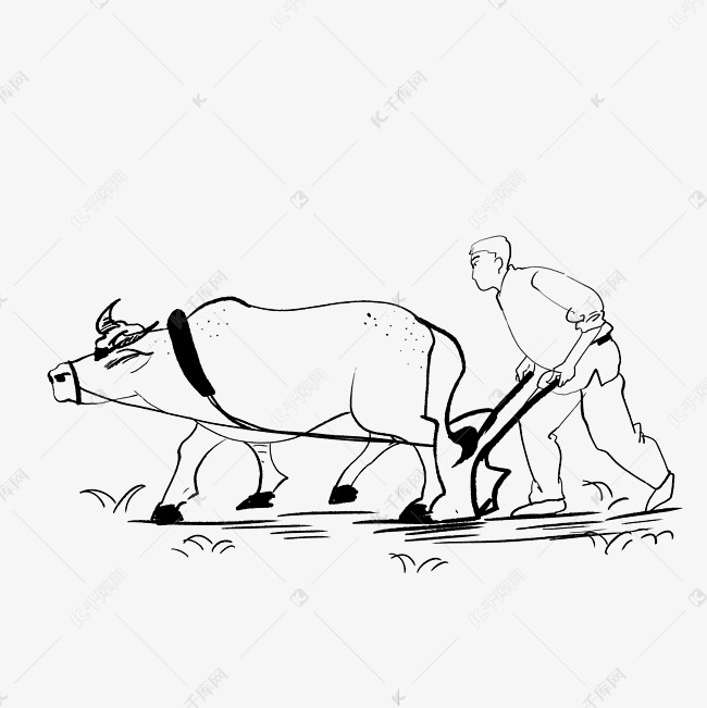 耕牛的画法图片