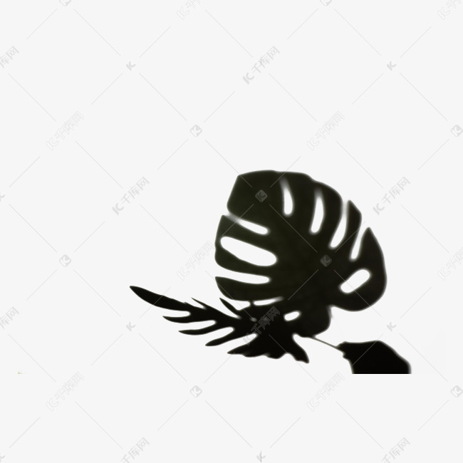 树叶投影素材图片免费下载-千库网