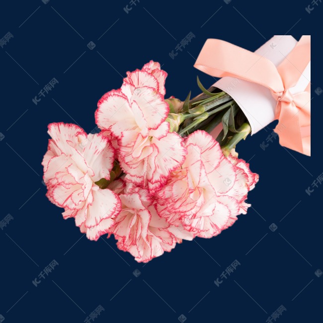 康乃馨花束母亲节花朵