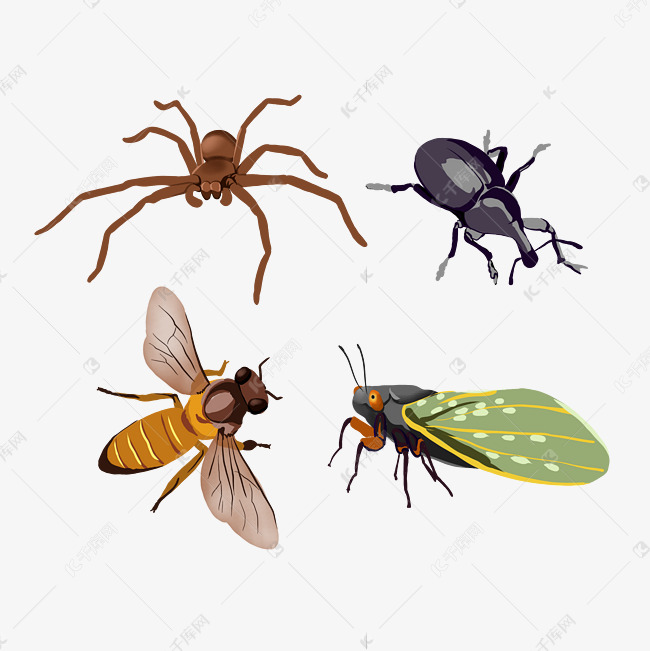 动物昆虫蜘蛛素材图片免费下载 高清卡通手绘psd 千库网 图片编号 动物昆虫蜘蛛素材图片免费下载 高清卡通手绘psd 千库网 图片编号