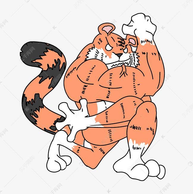 强壮的猛虎老虎