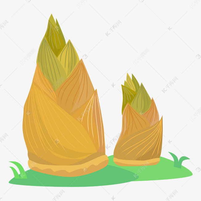 春季春笋植物矢量图