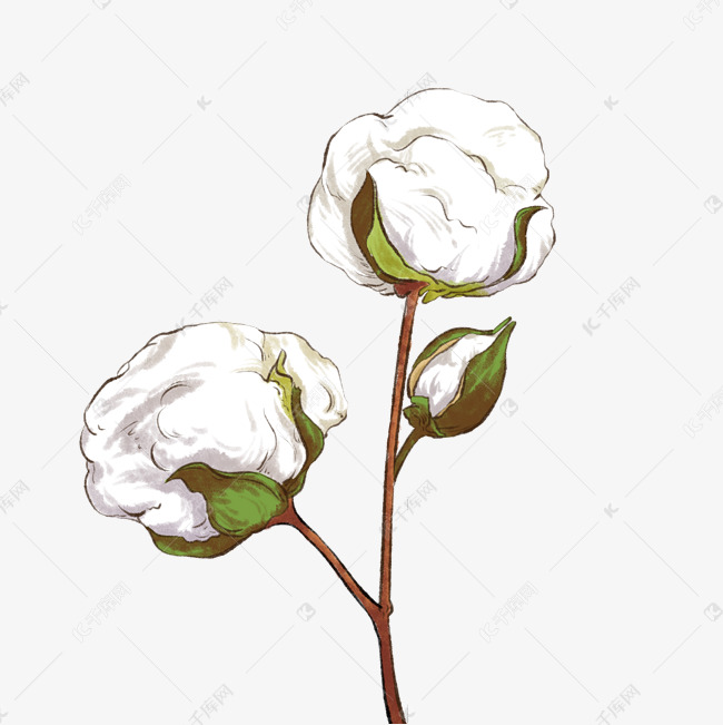 仿真手绘新疆棉花白色