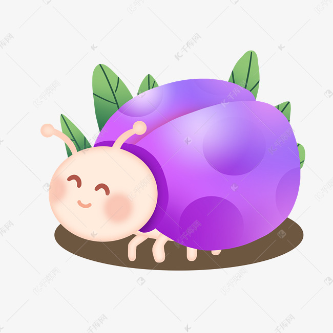紫色瓢虫虫子