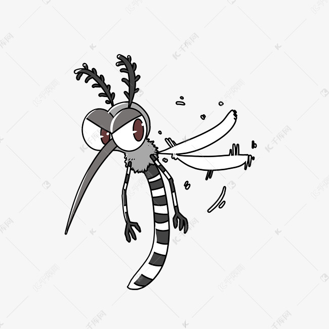飞翔的灰色蚊子