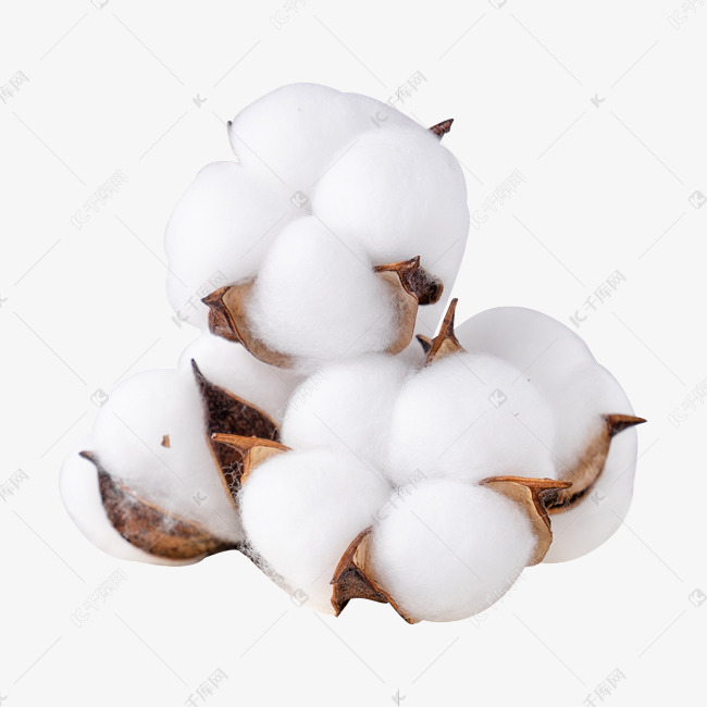 棉花棉絮原料新疆纯棉素材图片免费下载-千库网