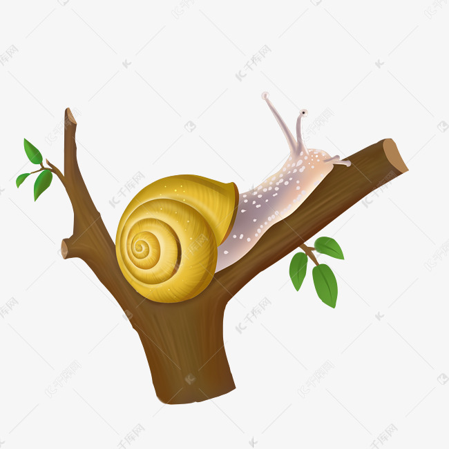 树上的黄色蜗牛