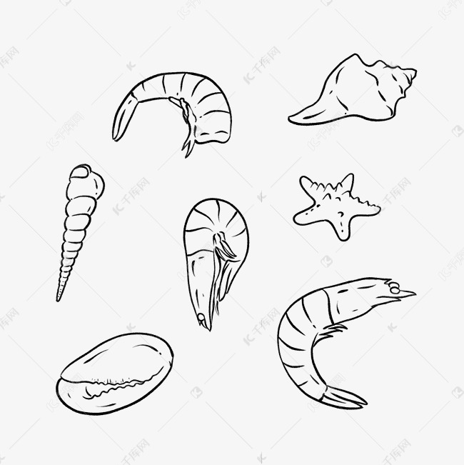 黑白线描海鲜虾子贝壳