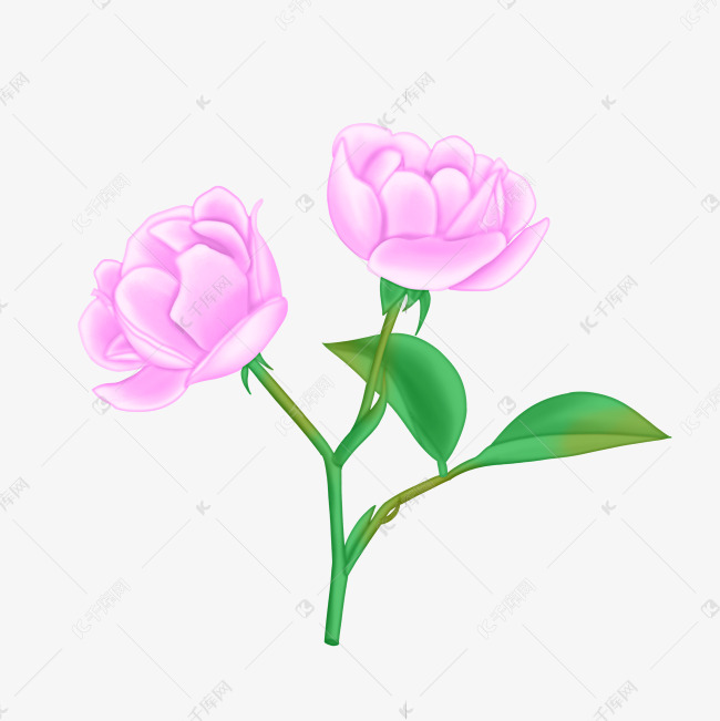 紫色蔷薇花束素材图片免费下载 高清装饰图案psd 千库网 图片编号1301