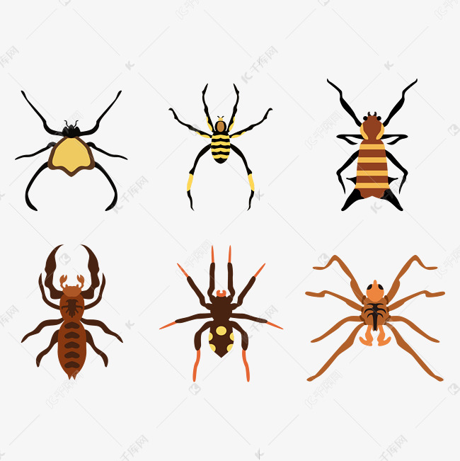 昆虫套图蜘蛛素材图片免费下载 高清卡通手绘psd 千库网 图片编号1306 昆虫套图蜘蛛素材图片免费下载 高清卡通手绘psd 千库网 图片编号1306