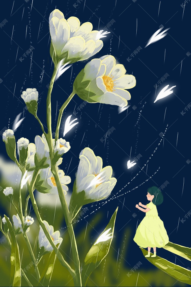 夏天夏日雨下花朵