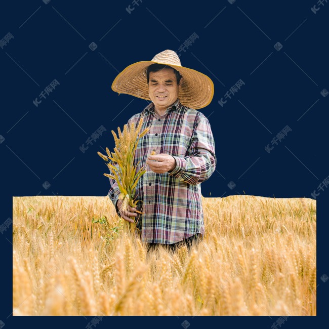 麦子代刷业务的简单介绍