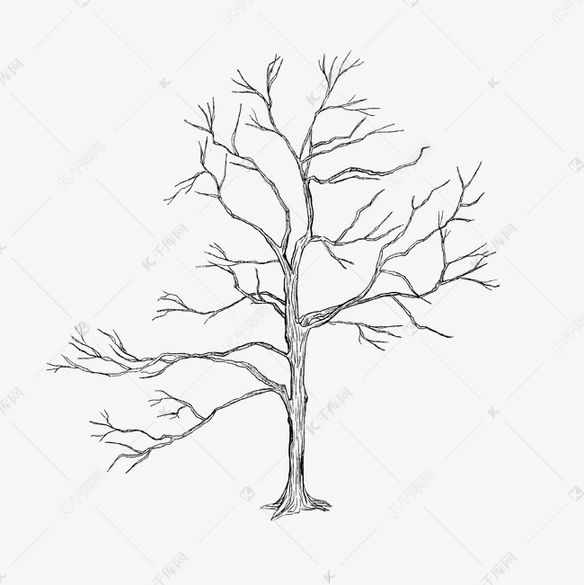 素描树干树枝线描