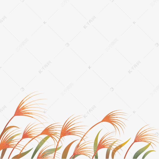 秋天芦苇插画风底边