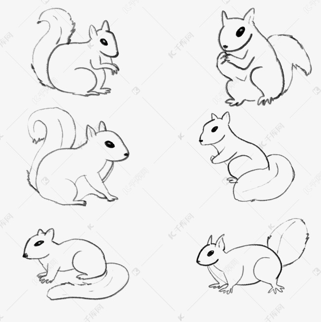 线描松鼠动物