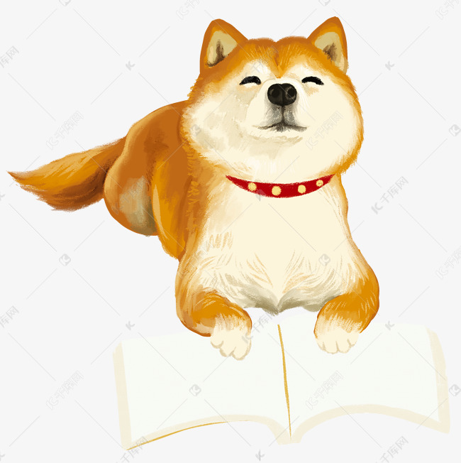 秋田犬小狗动物