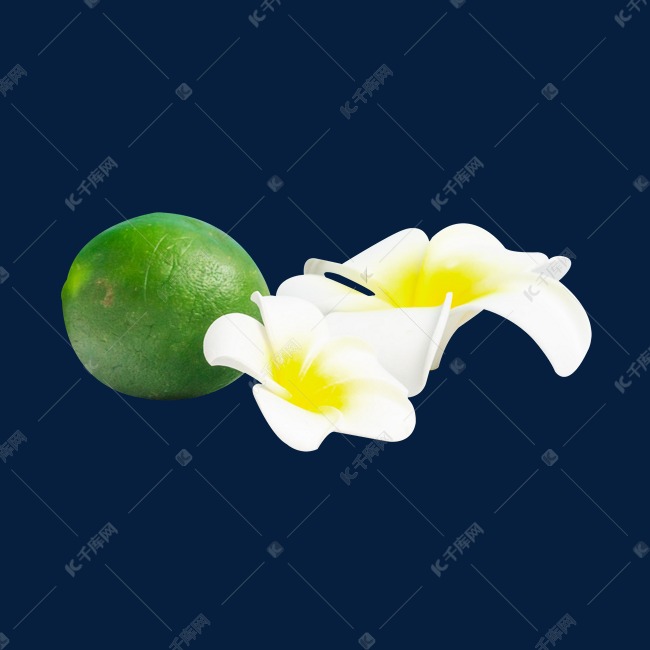 青柠花朵水果素材图片免费下载 高清免抠摄影png 千库网 图片编号