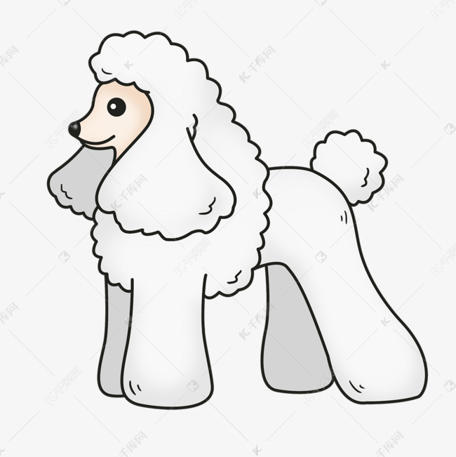 微笑站姿白色卷毛贵宾犬剪贴画