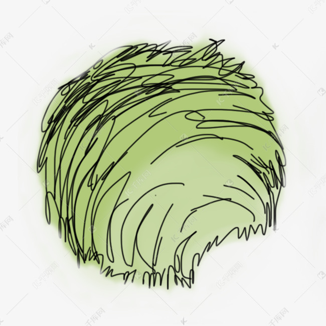 黑色线条手绘树顶俯视植物简笔画