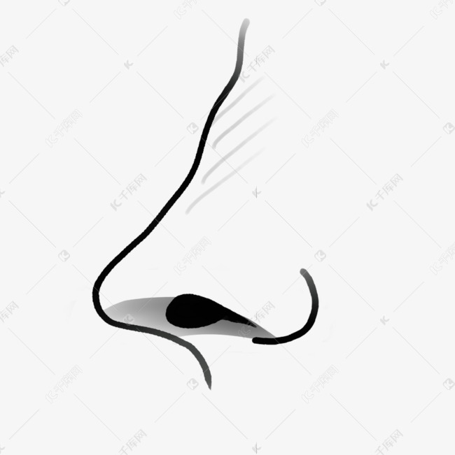 黑白线条鼻子剪贴画