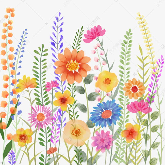 水彩风格彩色花卉植物