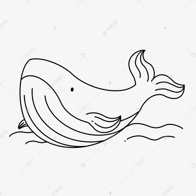 出水鲸鱼剪贴画黑白