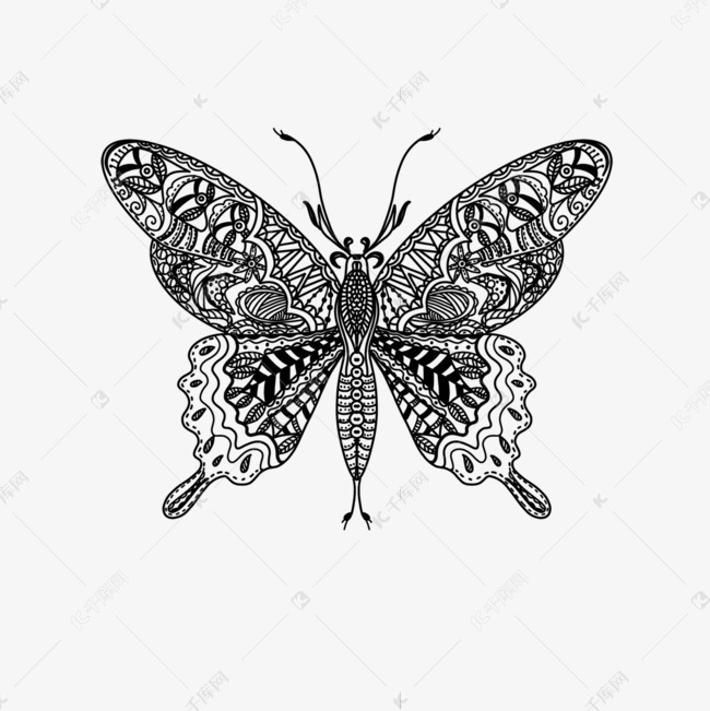 黑白蝴蝶线条画填色本素材图片免费下载-千库网
