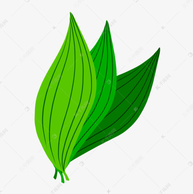 端午节碧绿色粽子叶