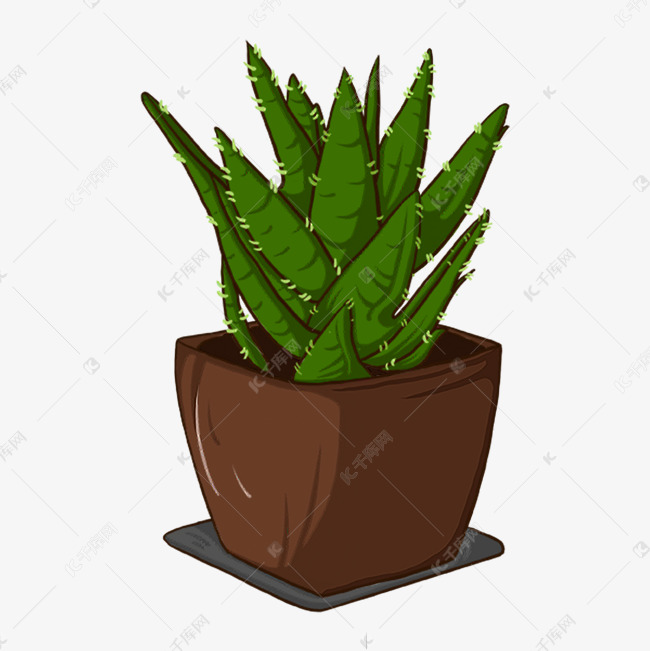 灰色花盆手绘虎皮兰室内盆栽装饰素材图片免费下载 高清psd 千库网 图片编号