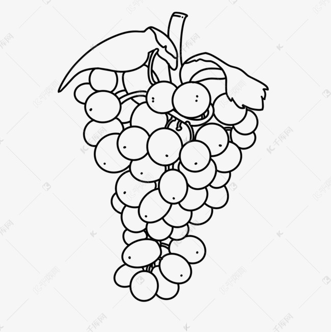 长串葡萄剪贴画黑白