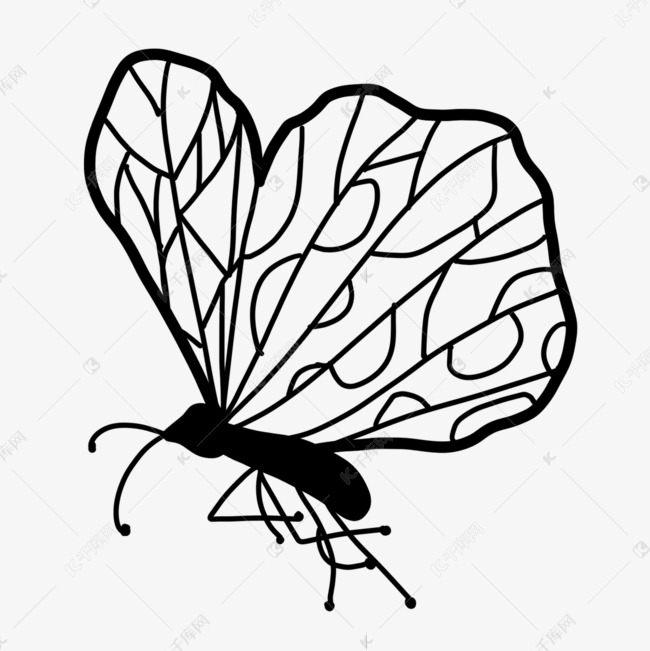 黑色镂空翅膀线稿蝴蝶