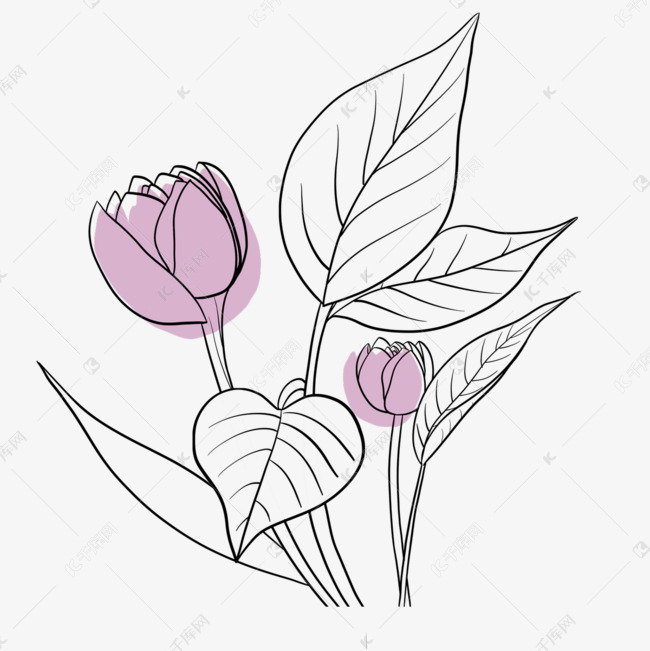 郁金香局部渲染叶子花朵简笔画