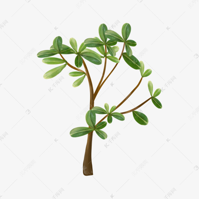 绿色植物水彩马齿苋