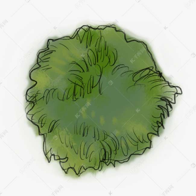 手绘卡通树顶俯视植物简笔画