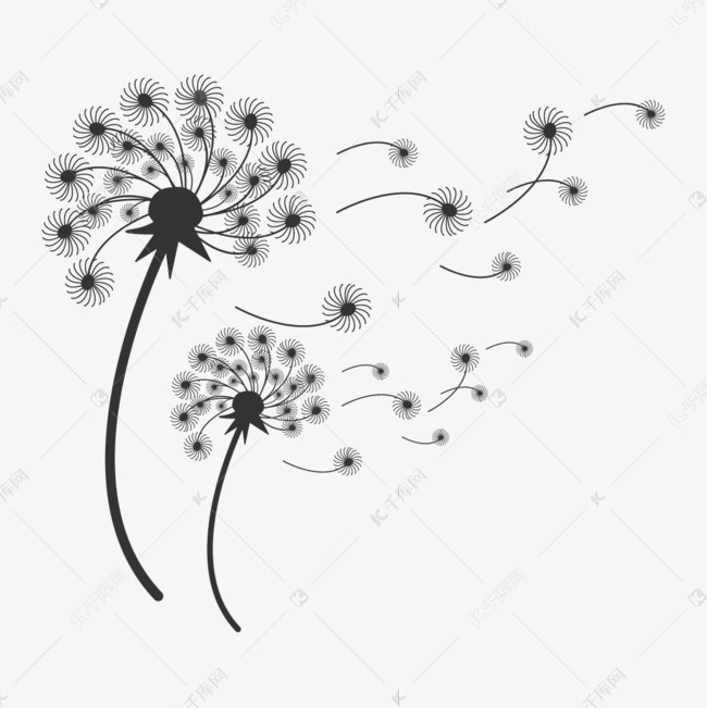 轻飘飘的蒲公英剪贴画花卉