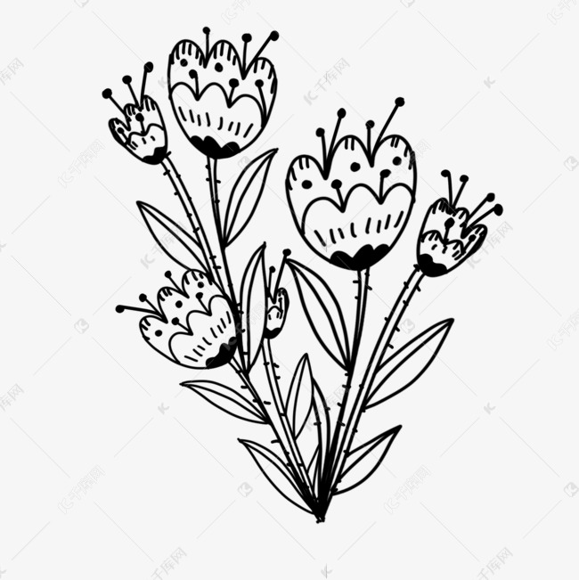 美丽花朵线条画花卉素材图片免费下载-千库网
