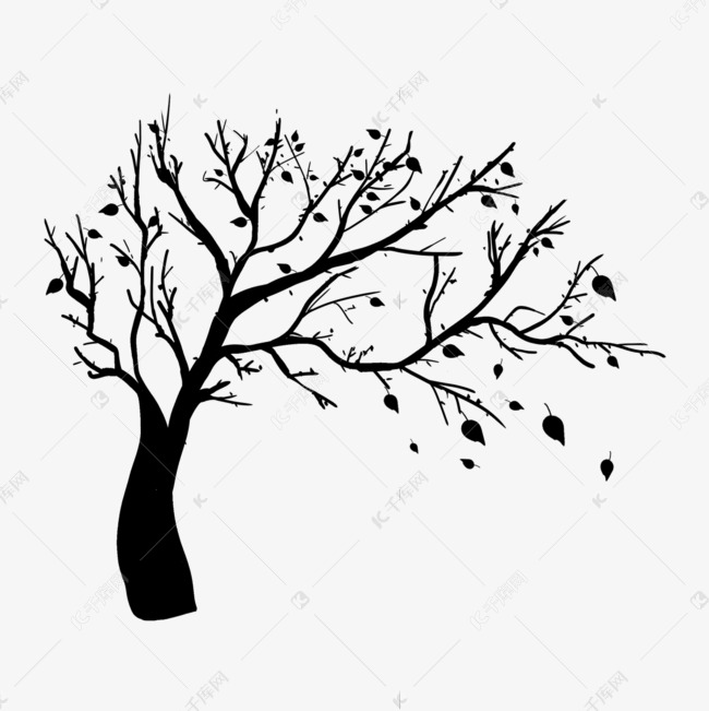 树木剪影落叶树木