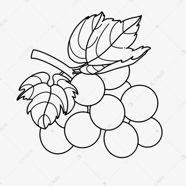叶子葡萄剪贴画黑白