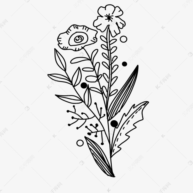 花卉花朵黑白风格线条画素材图片免费下载-千库网