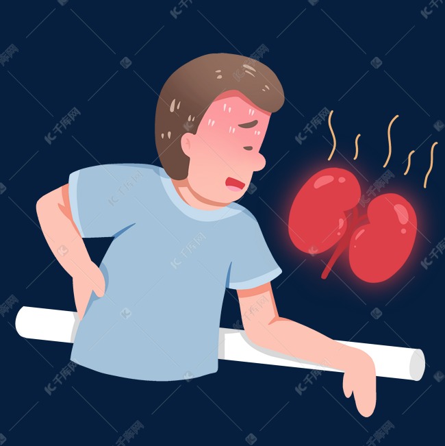 肾虚体虚肾亏健康问题