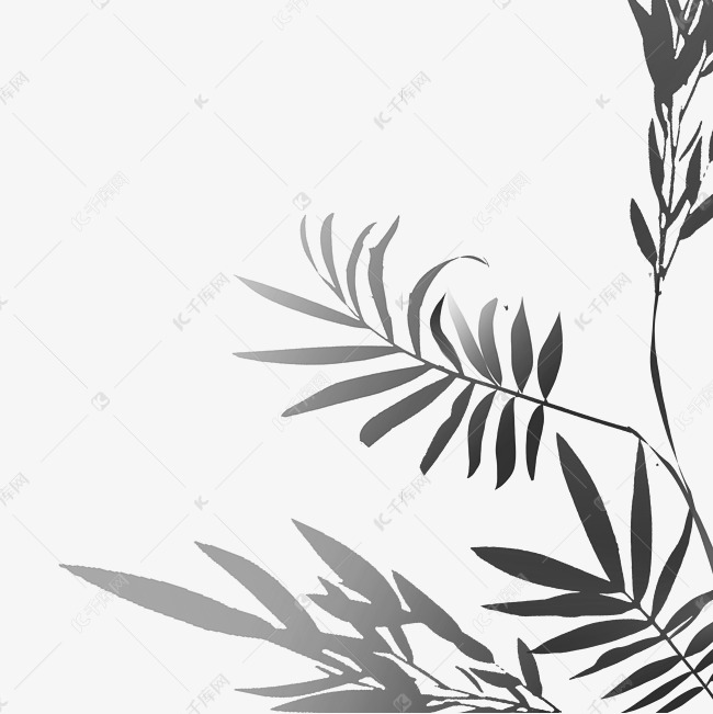 树枝树叶植物投影素材图片免费下载-千库网