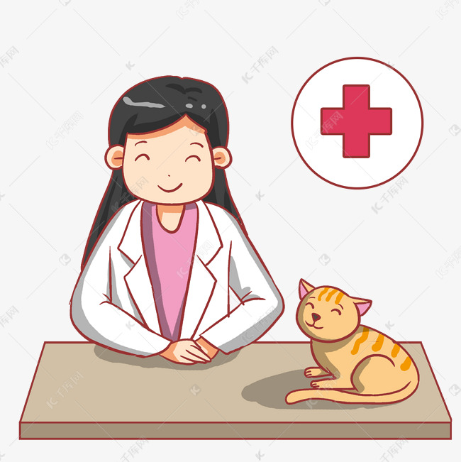 宠物医疗医院治疗小猫咪医生看病